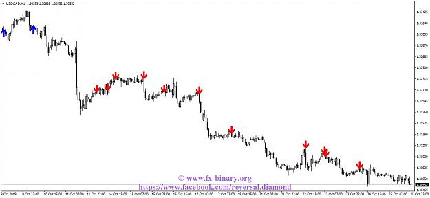 Click to Enlarge

Name: USDCADH1.jpg
Size: 90 KB