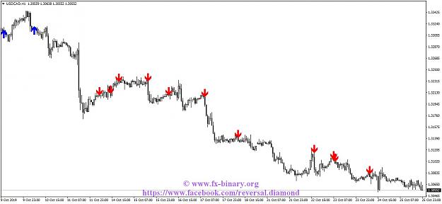 Click to Enlarge

Name: USDCADH1.jpg
Size: 90 KB
