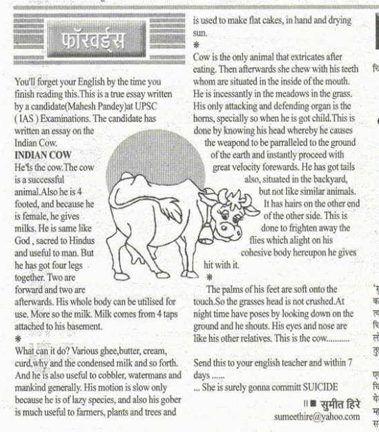 Click to Enlarge

Name: cow.gif
Size: 111 KB