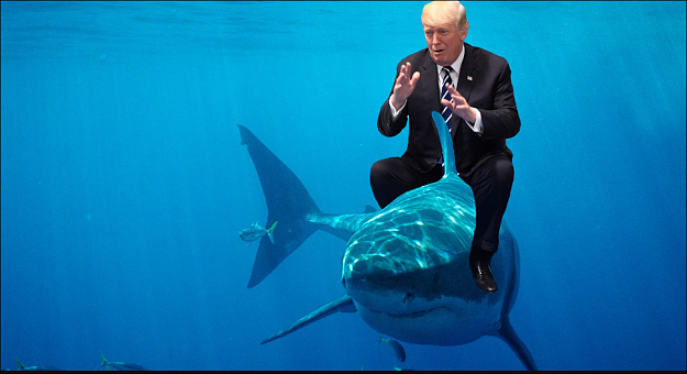 Click to Enlarge

Name: Trumpshark.PNG
Size: 1.4 MB