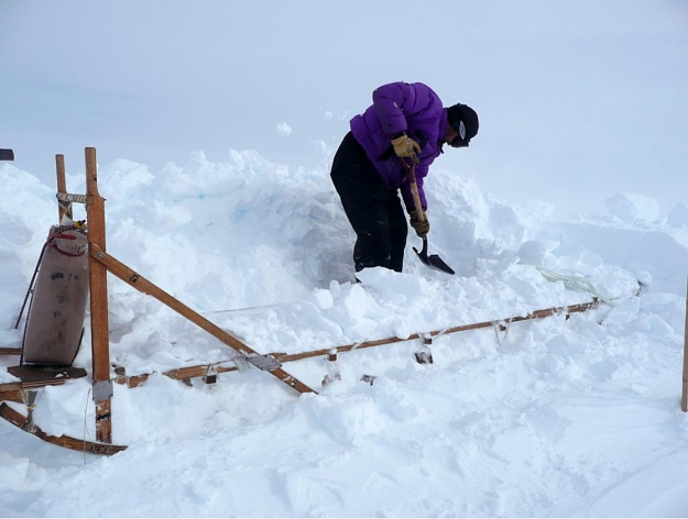 Click to Enlarge

Name: digging.jpg
Size: 71 KB