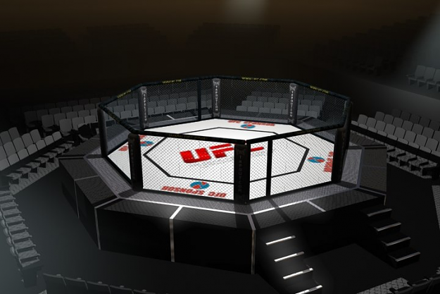 Click to Enlarge

Name: MMA cage ring.png
Size: 252 KB