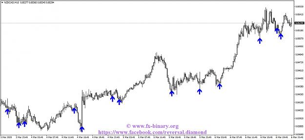 Click to Enlarge

Name: NZDCADM15.jpg
Size: 97 KB