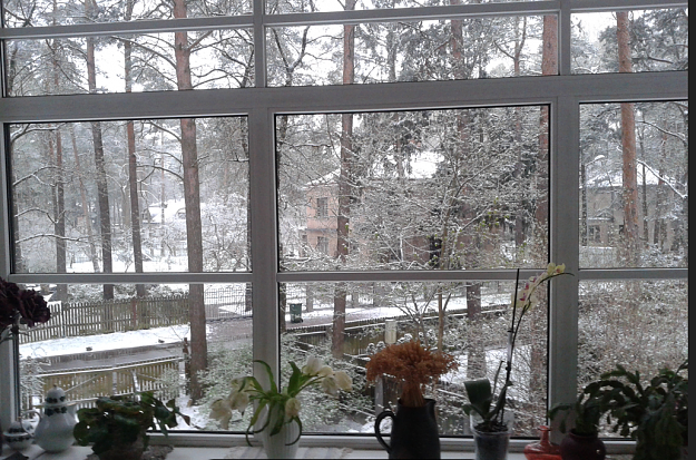 Click to Enlarge

Name: upperwindw & snow 2.png
Size: 1.8 MB