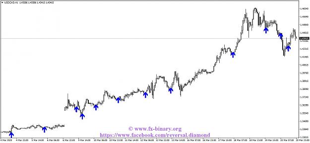 Click to Enlarge

Name: USDCADH1.jpg
Size: 89 KB