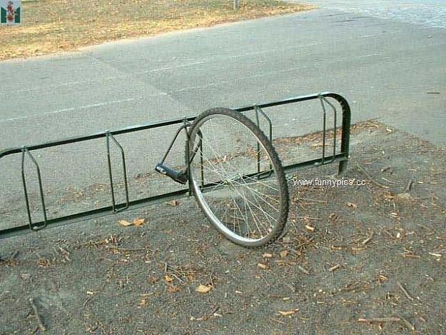 Click to Enlarge

Name: Bike.jpg
Size: 61 KB