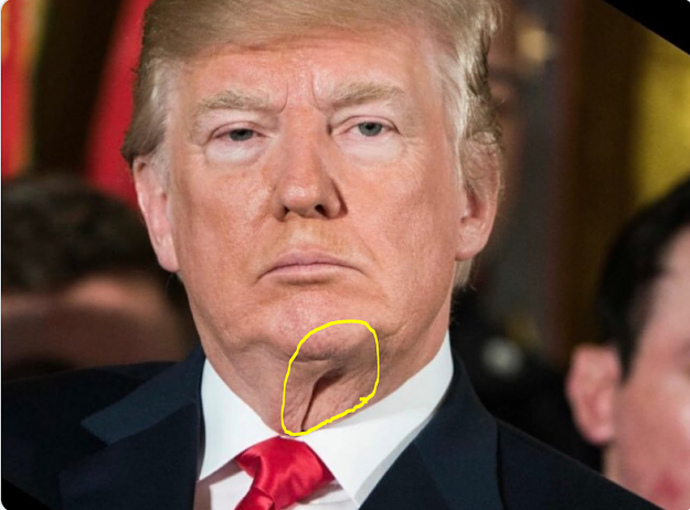 Click to Enlarge

Name: vagin neck trump.PNG
Size: 919 KB