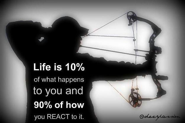 Click to Enlarge

Name: 1763483688-429891_585383058159423_446183983_n.jpg
Size: 27 KB