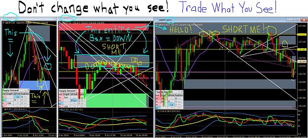 Click to Enlarge

Name: This is what a short set up looks like.JPG
Size: 362 KB
