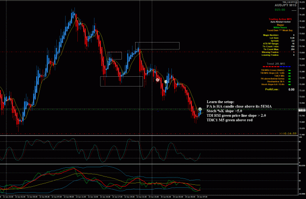 Click to Enlarge

Name: AUDJPY6-15---8-0 the setup.gif
Size: 56 KB