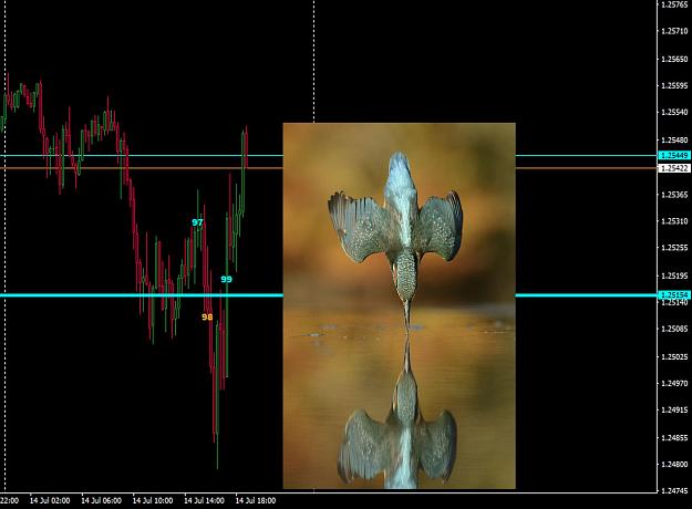 Click to Enlarge

Name: Cable-KingFisher.jpg
Size: 156 KB