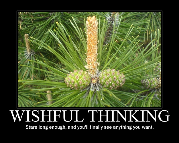 Click to Enlarge

Name: motivatora8c2a7533248d04a25b7dd96e46bb1f84cec5969.jpg
Size: 129 KB