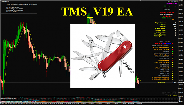 Click to Enlarge

Name: TMS_V19 EA screenshot.png
Size: 231 KB