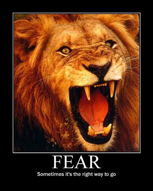 Click to Enlarge

Name: motivator0ffe3312e8dea9cddcd9a81300184aea749a8fa9.jpg
Size: 99 KB