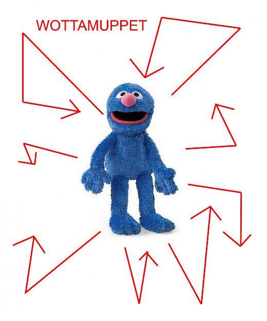 Click to Enlarge

Name: wottamuppet.jpg
Size: 164 KB