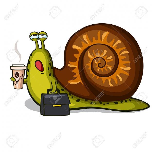 Click to Enlarge

Name: 66395421-funny-snail.jpg
Size: 130 KB