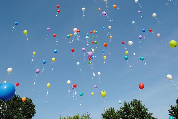 Click to Enlarge

Name: balloons-1012541_1280.jpg
Size: 174 KB