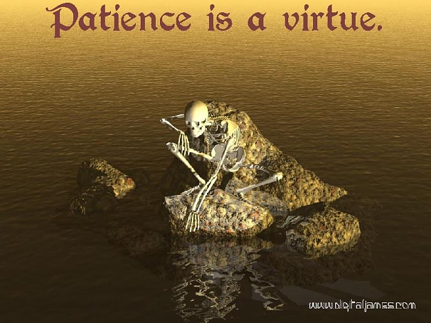 Click to Enlarge

Name: patience.jpg
Size: 88 KB