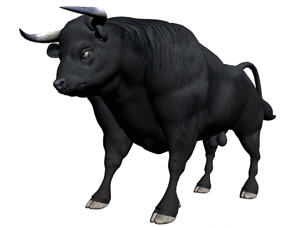 Click to Enlarge

Name: bull.jpg
Size: 61 KB