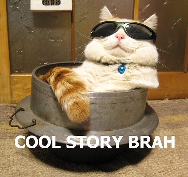 Click to Enlarge

Name: cat-cool-story.jpg
Size: 80 KB