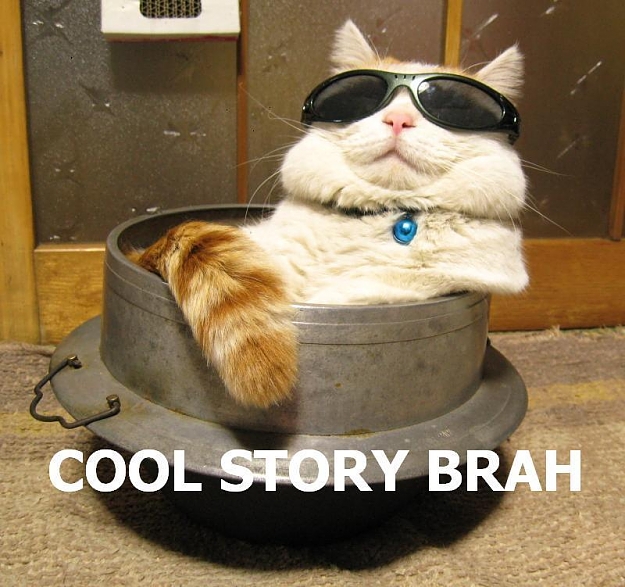 Click to Enlarge

Name: cat-cool-story.jpg
Size: 80 KB