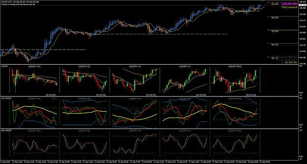 Click to Enlarge

Name: USDJPY Sep 24 pipware chart5 24-9-2020 10-00-04 am.png
Size: 57 KB