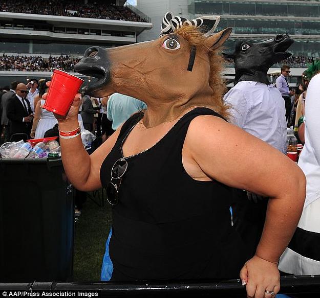 Click to Enlarge

Name: melbourne cup horse.jpg
Size: 71 KB