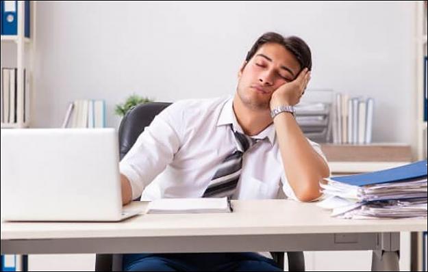 Click to Enlarge

Name: Asleep1.JPG
Size: 40 KB