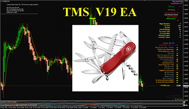 Click to Enlarge

Name: TMS_V19 EA screenshot.png
Size: 231 KB
