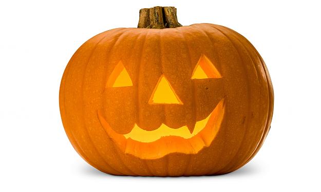 Click to Enlarge

Name: Halloween-Pumpkin-014.jpg
Size: 611 KB