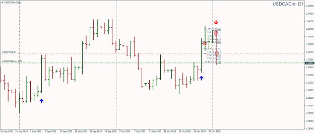 Click to Enlarge

Name: USDCADmDaily.png
Size: 47 KB