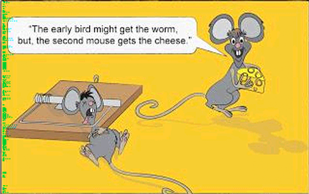 Click to Enlarge

Name: second mouse gets the cheese.png
Size: 129 KB