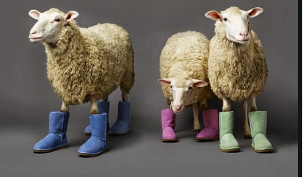 Click to Enlarge

Name: goats wearing shoes.PNG
Size: 482 KB