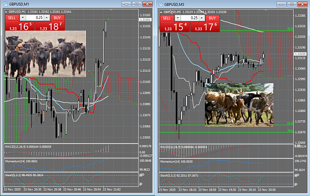 Click to Enlarge

Name: 11_23_2020 Herd of Bulls Drinking again at the 1min River.png
Size: 261 KB