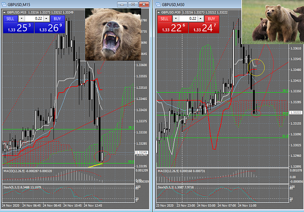Click to Enlarge

Name: 11_24_2020 GBP_USD Short w BEARS Chasing Bulls Over the Lake.png
Size: 200 KB