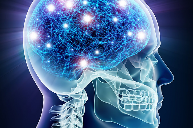 Click to Enlarge

Name: Mind.png
Size: 821 KB