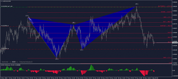 Click to Enlarge

Name: AUDCADM30.png
Size: 40 KB