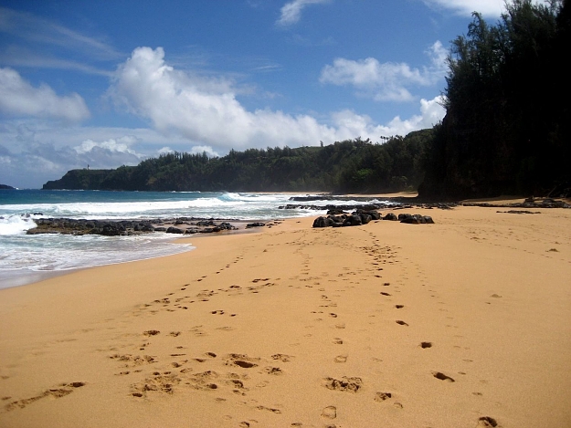 Click to Enlarge

Name: Secret Beach March 2009.jpg
Size: 194 KB