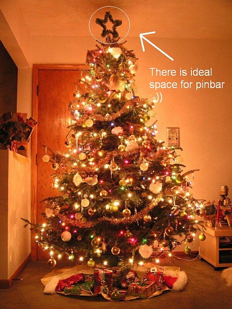 Click to Enlarge

Name: christmas-tree-lights1.jpg
Size: 115 KB