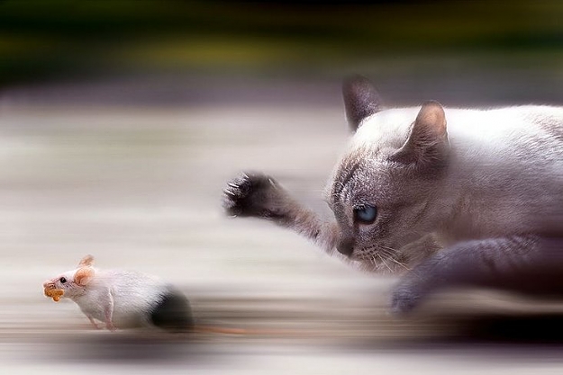 Click to Enlarge

Name: takeand run.jpg
Size: 41 KB