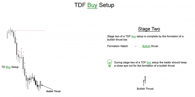 Click to Enlarge

Name: TDF.Buy.Setup.Part-2.jpg
Size: 61 KB