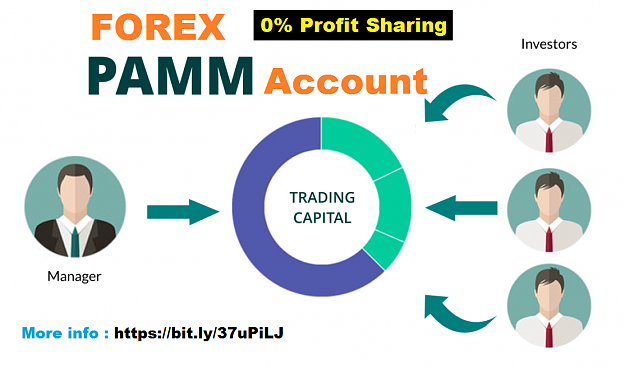 Click to Enlarge

Name: sony forex pamm account.png
Size: 231 KB