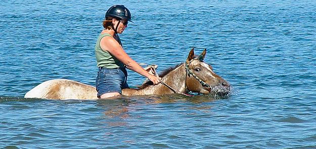 Click to Enlarge

Name: horse-swim-safely-with-your-horse-blogmay120 (1).jpg
Size: 353 KB