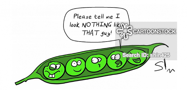 Click to Enlarge

Name: peas-in-a-pod.png
Size: 149 KB