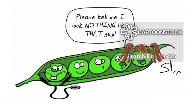 Click to Enlarge

Name: peas-in-a-pod-2.png
Size: 156 KB
