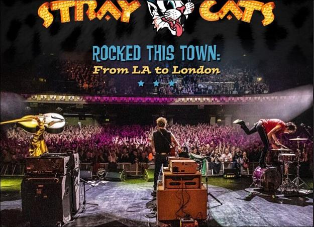 Click to Enlarge

Name: straycats1.JPG
Size: 130 KB