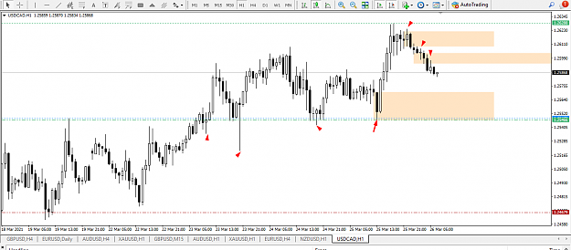Click to Enlarge

Name: USD CAD SSR SND ORDB DY 1H 4H PTZ.png
Size: 46 KB