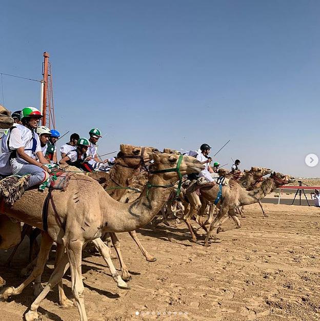 Click to Enlarge

Name: camel race.jpg
Size: 163 KB