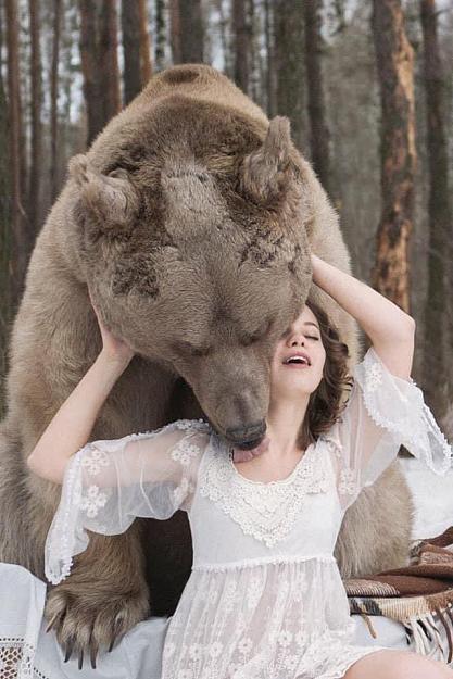Click to Enlarge

Name: bear 1.jpg
Size: 85 KB