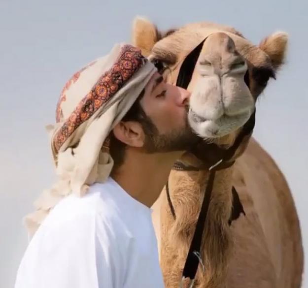 Click to Enlarge

Name: camel 4.jpg
Size: 50 KB